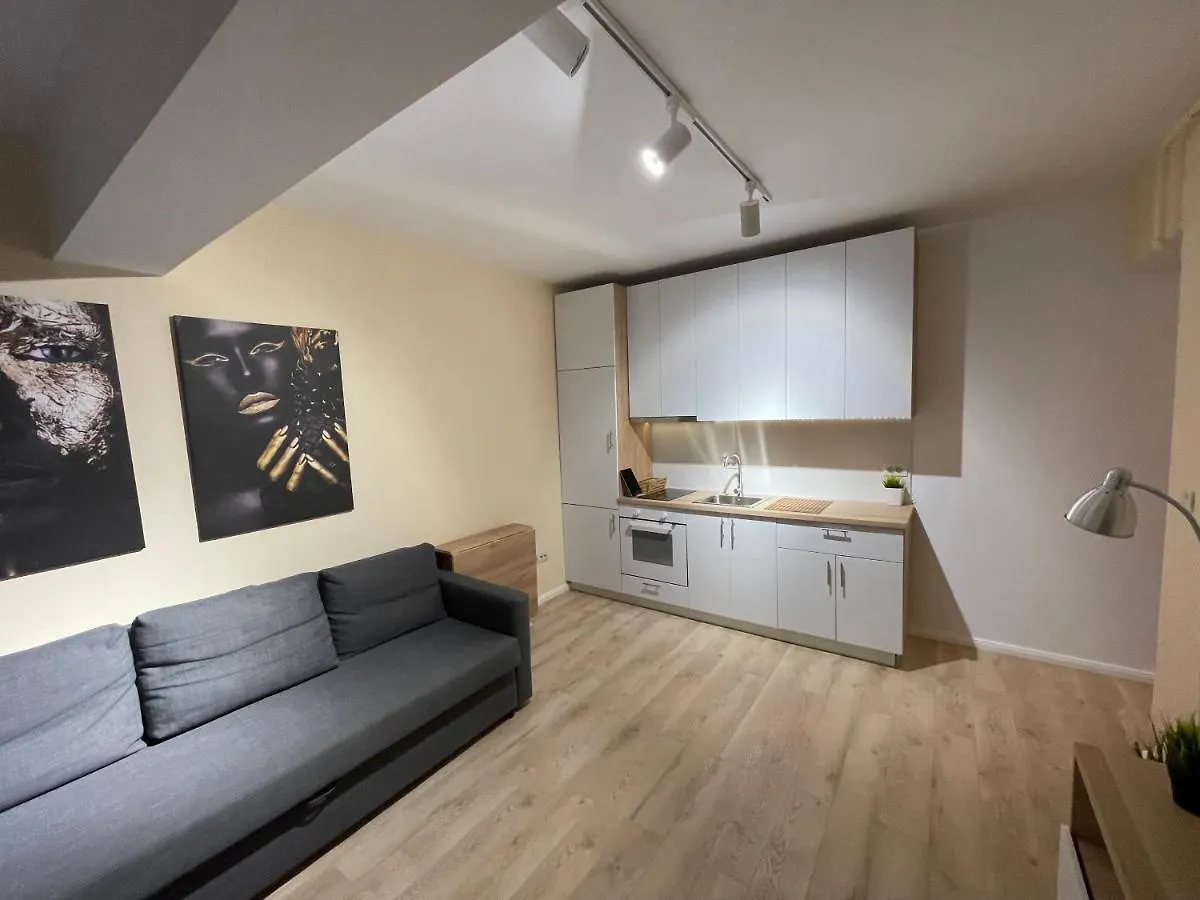 Riverside Luxury Apartment Near President Palace 부쿠레슈티